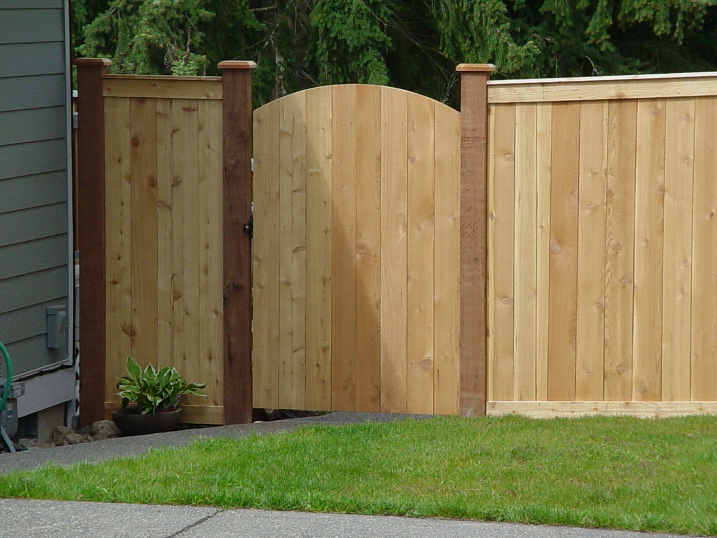 Tall cedar privacy fence with arched walk gate